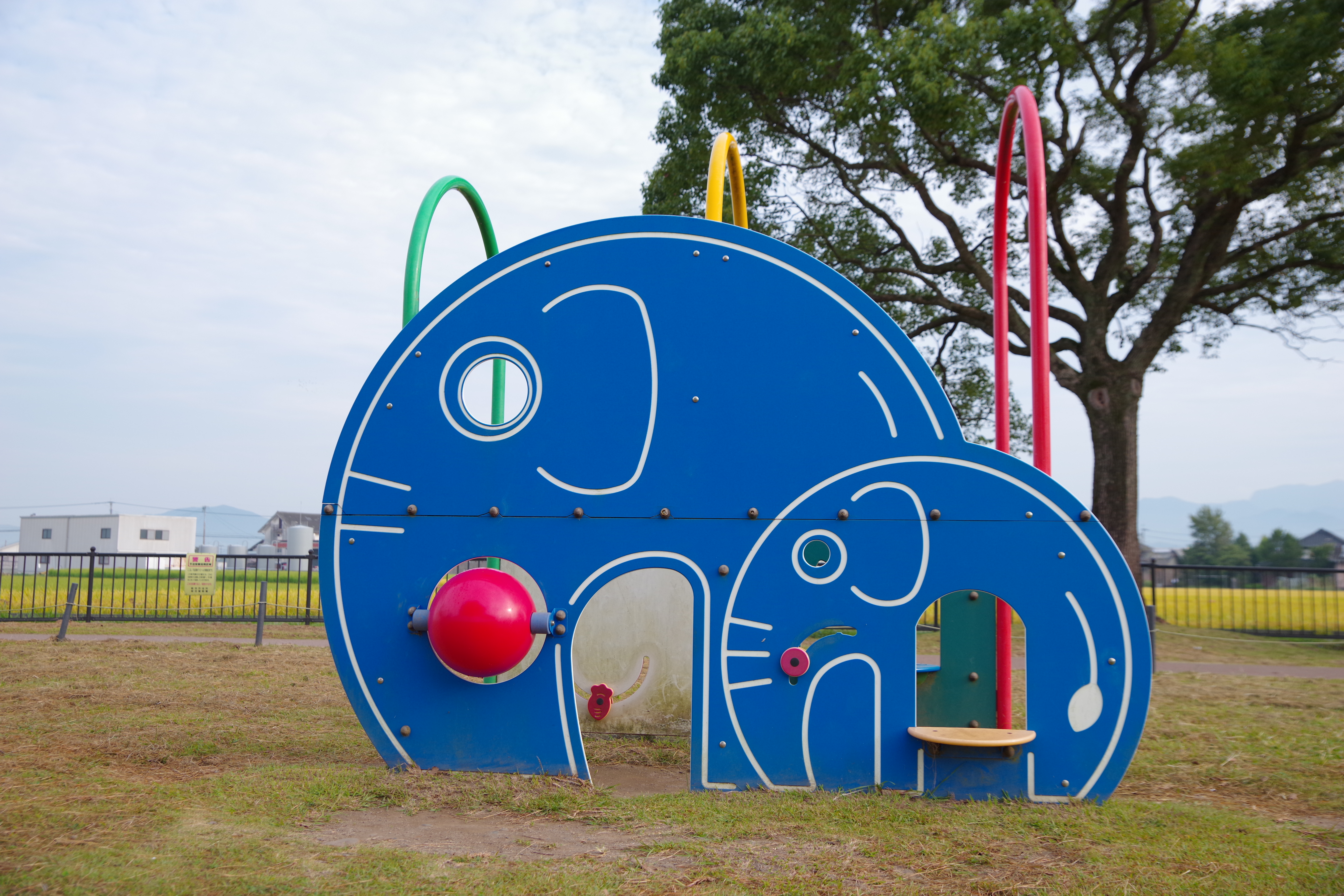 菊池市の公園で遊ぶ子どもたち
