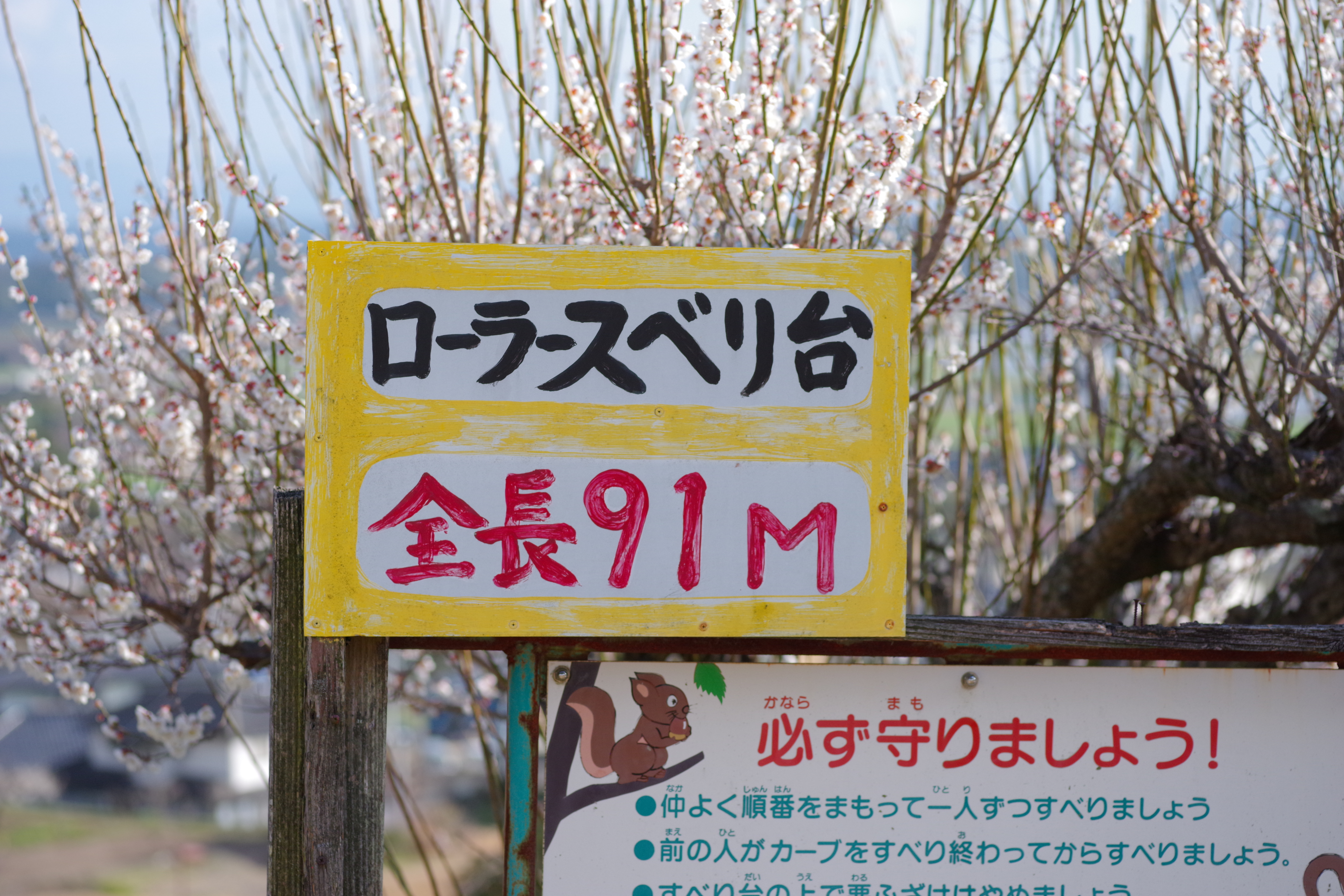 一本松公園の全長91mローラー滑り台